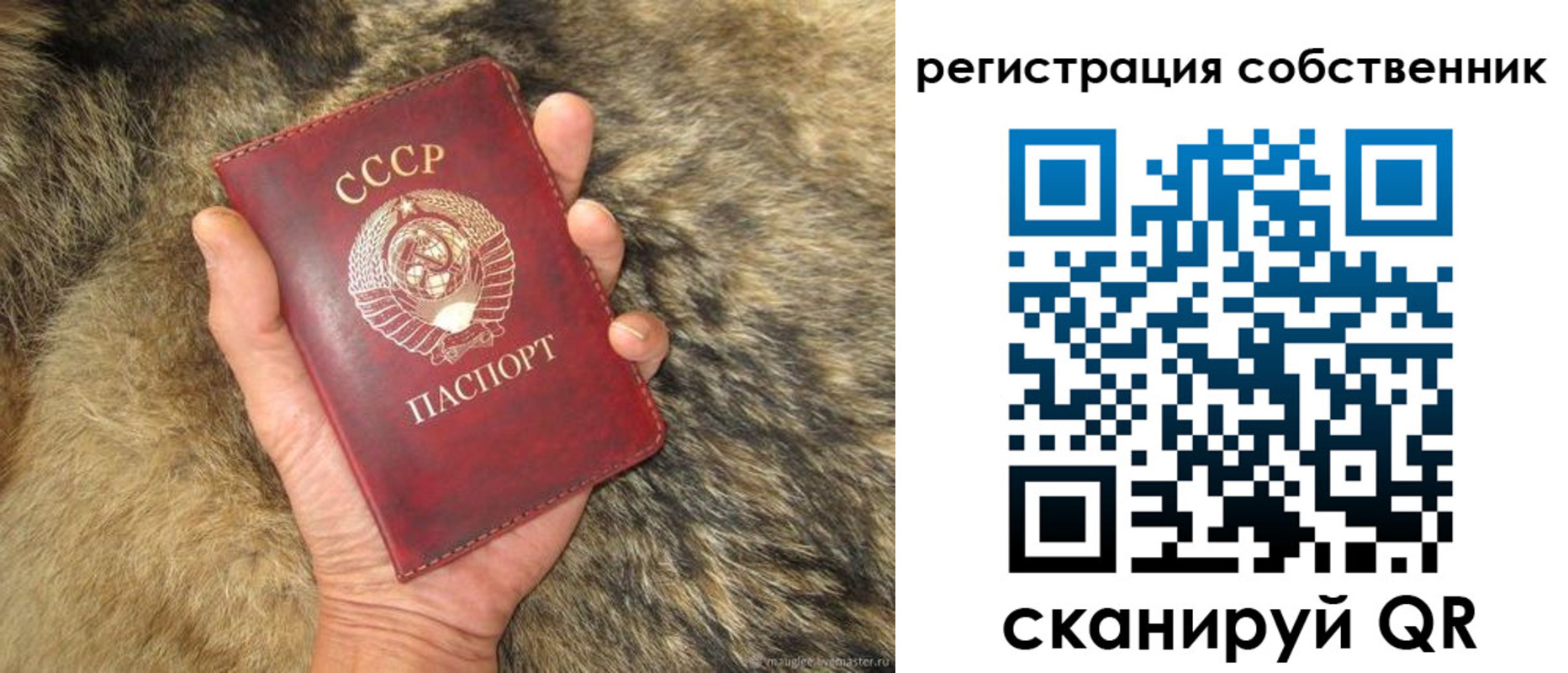 прописка 2025 в Рузе